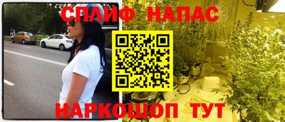 прущие грибы Волгодонск