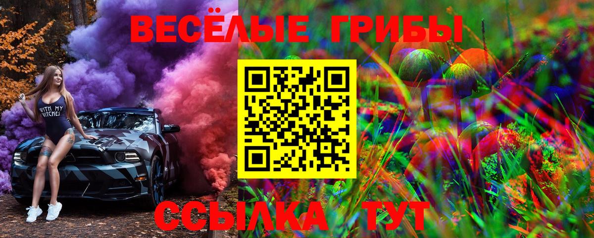 Димитровград  Галлюциногенные грибы Psilocybe  закладки  Вход с VPN  Псилоцибиновые грибы MAGIC MUSHROOMS 