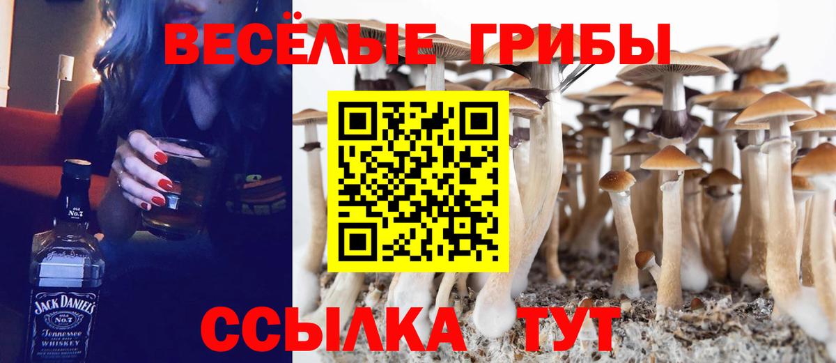 Галлюциногенные грибы мицелий Димитровград
